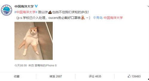 海洋最新爆料消息今天,揭秘今日最新海洋生物发现之谜